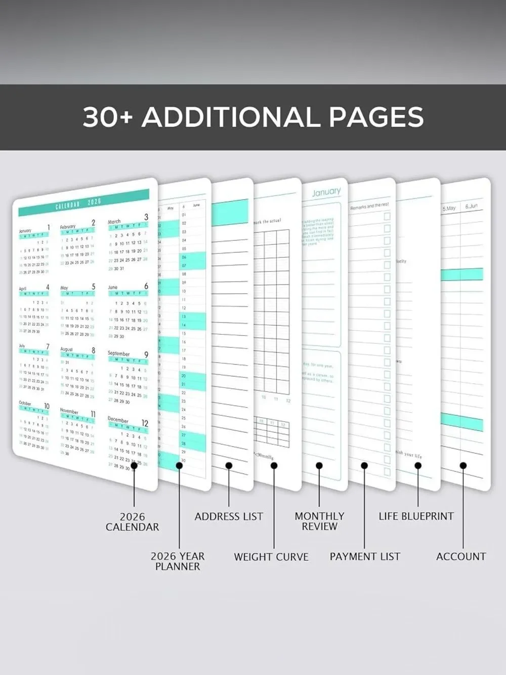 Plannity 2026 Daily & Monthly Pro Planner - Yellow and Teal Faux Leather Binder